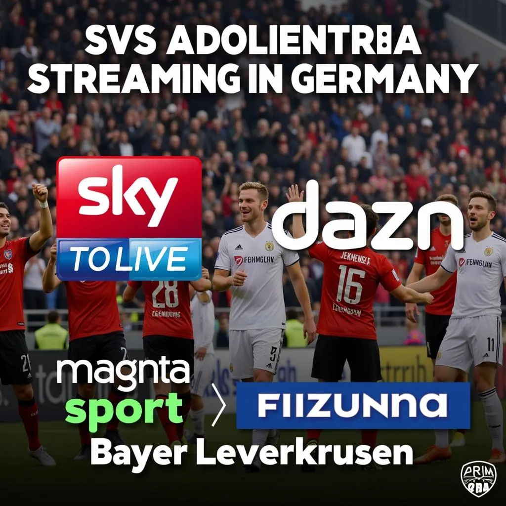 Streaming-Plattformen für Alemannia Aachen gegen Bayer Leverkusen