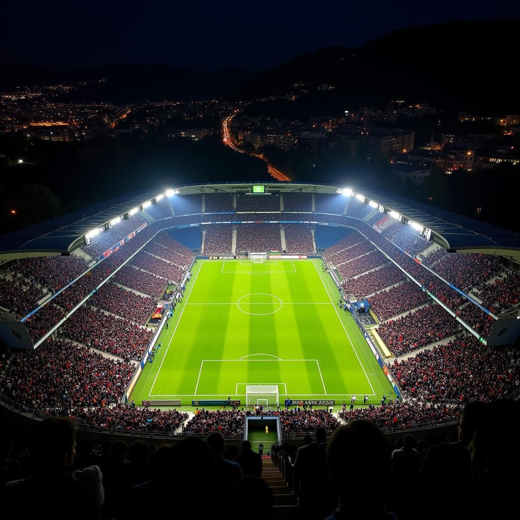 Atalanta Leverkusen Stadion