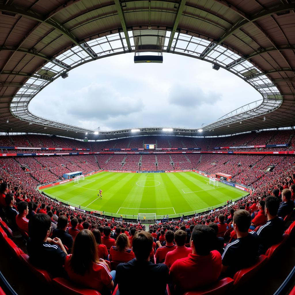 Atmosphäre im Stadion bei einem Spiel von Bayer Leverkusen