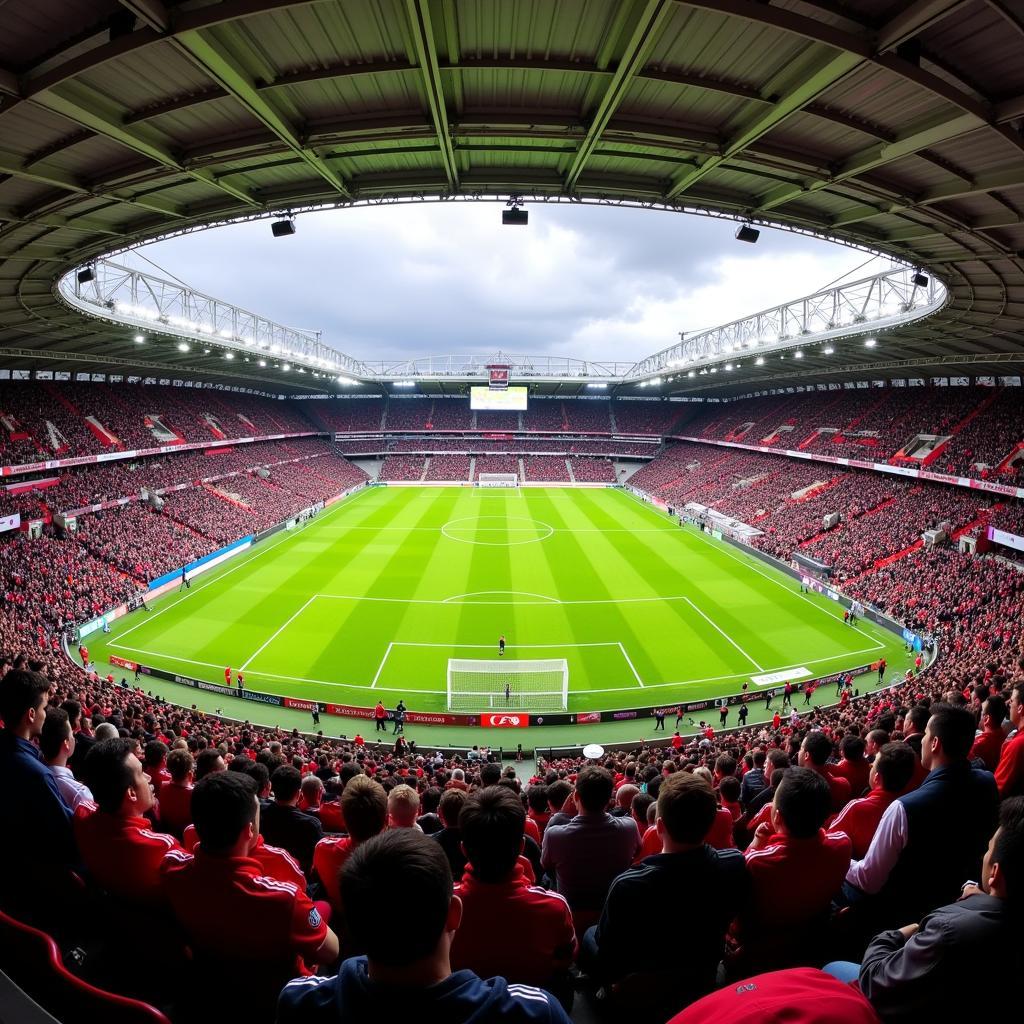 Fans von Augsburg und Leverkusen feiern im Stadion