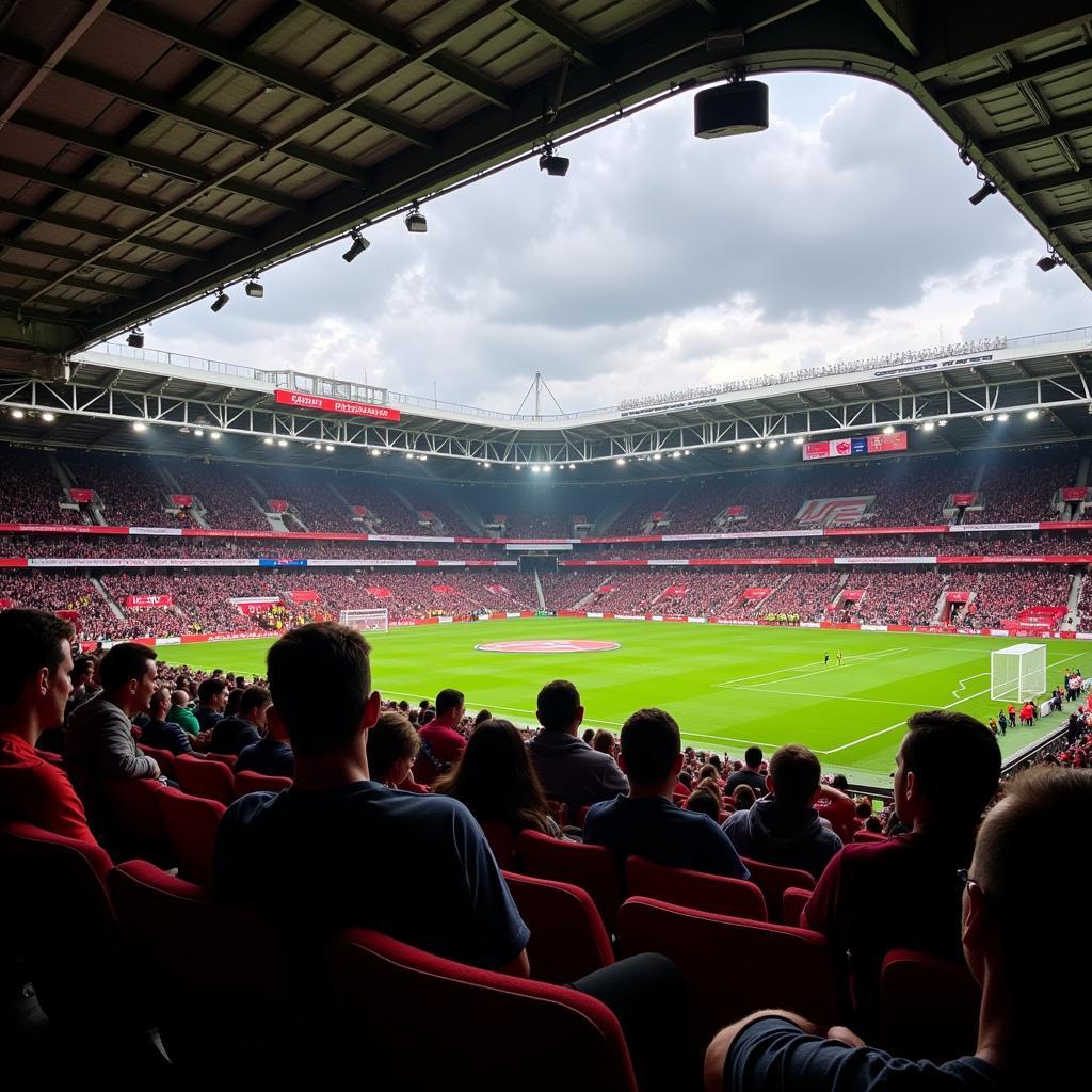 Fans im Stadion: Augsburg gegen Leverkusen