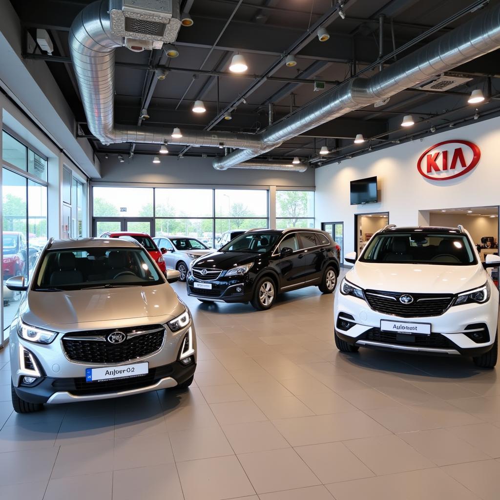 Moderner Showroom des Autohaus Luchtenberg GmbH in Leverkusen mit ausgestellten Kia und Opel Modellen.