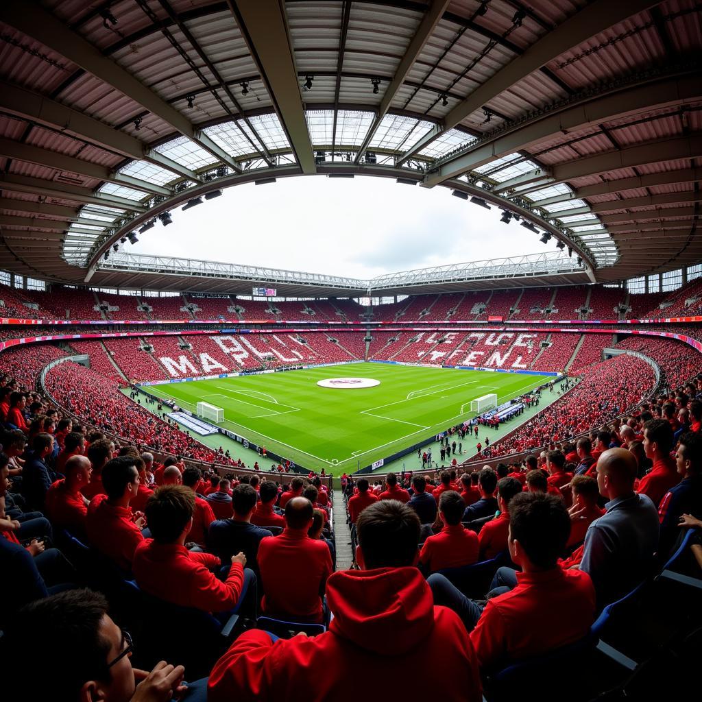 Fans des Bayer 0 Leverkusen jubeln im Stadion.