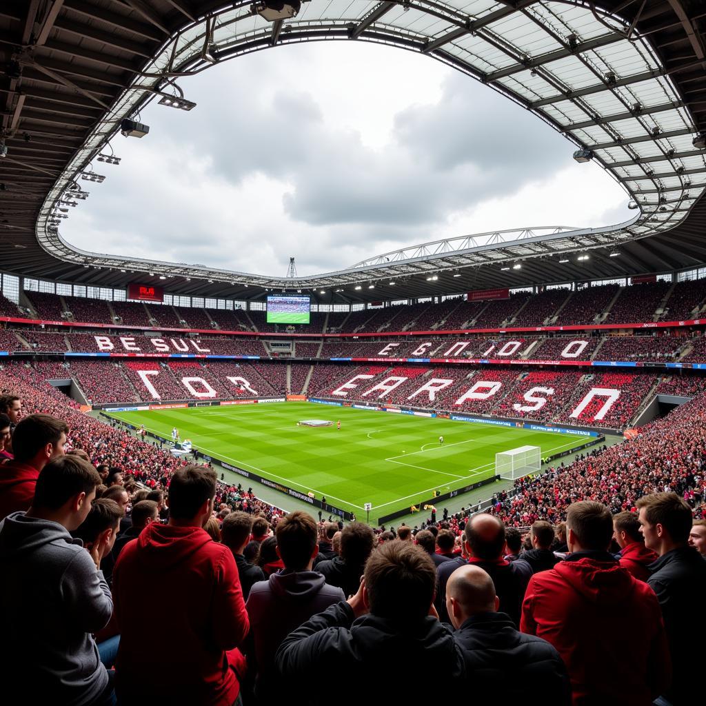 Fans von Bayer 04 Leverkusen und Borussia Mönchengladbach im Stadion