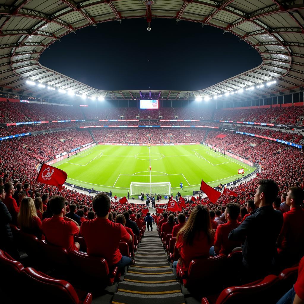 Fans von Bayer 04 Leverkusen im Stadion