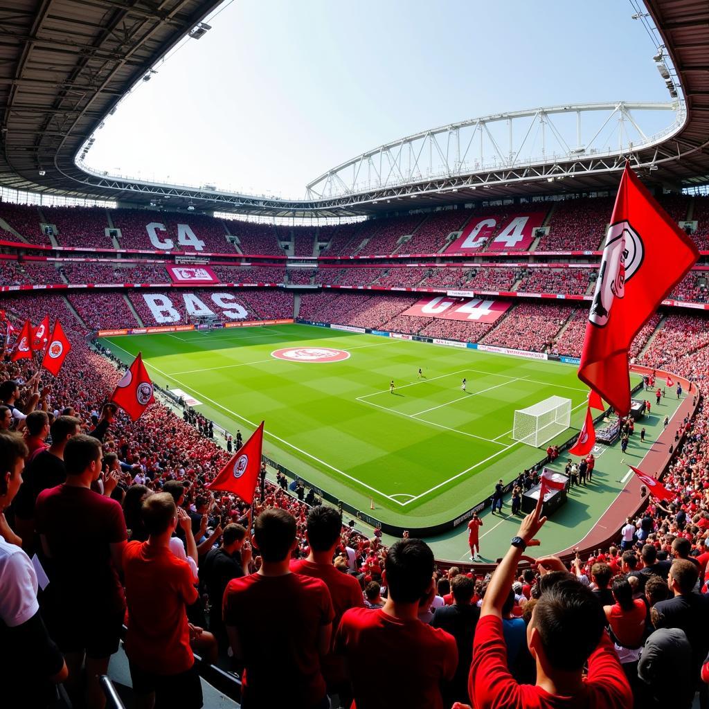 Fans der Bayer 04 Leverkusen im Stadion