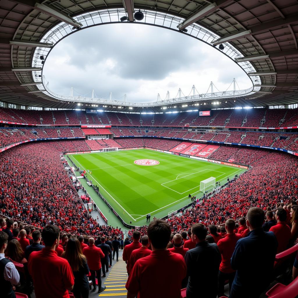 Fans von Bayer Leverkusen und Mainz 05