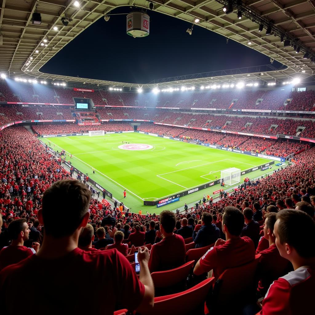 Bayer Leverkusen Fans in der BayArena