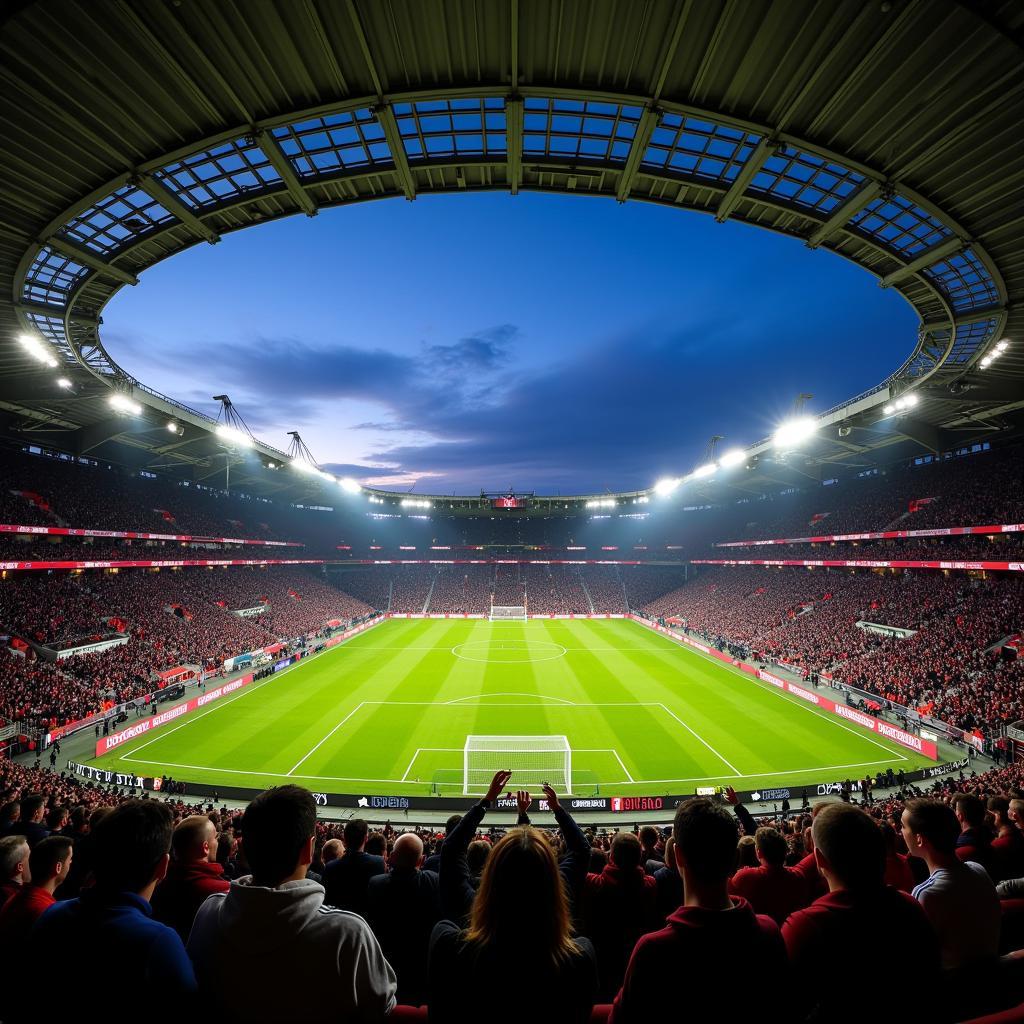 Bayer Leverkusen Champions League