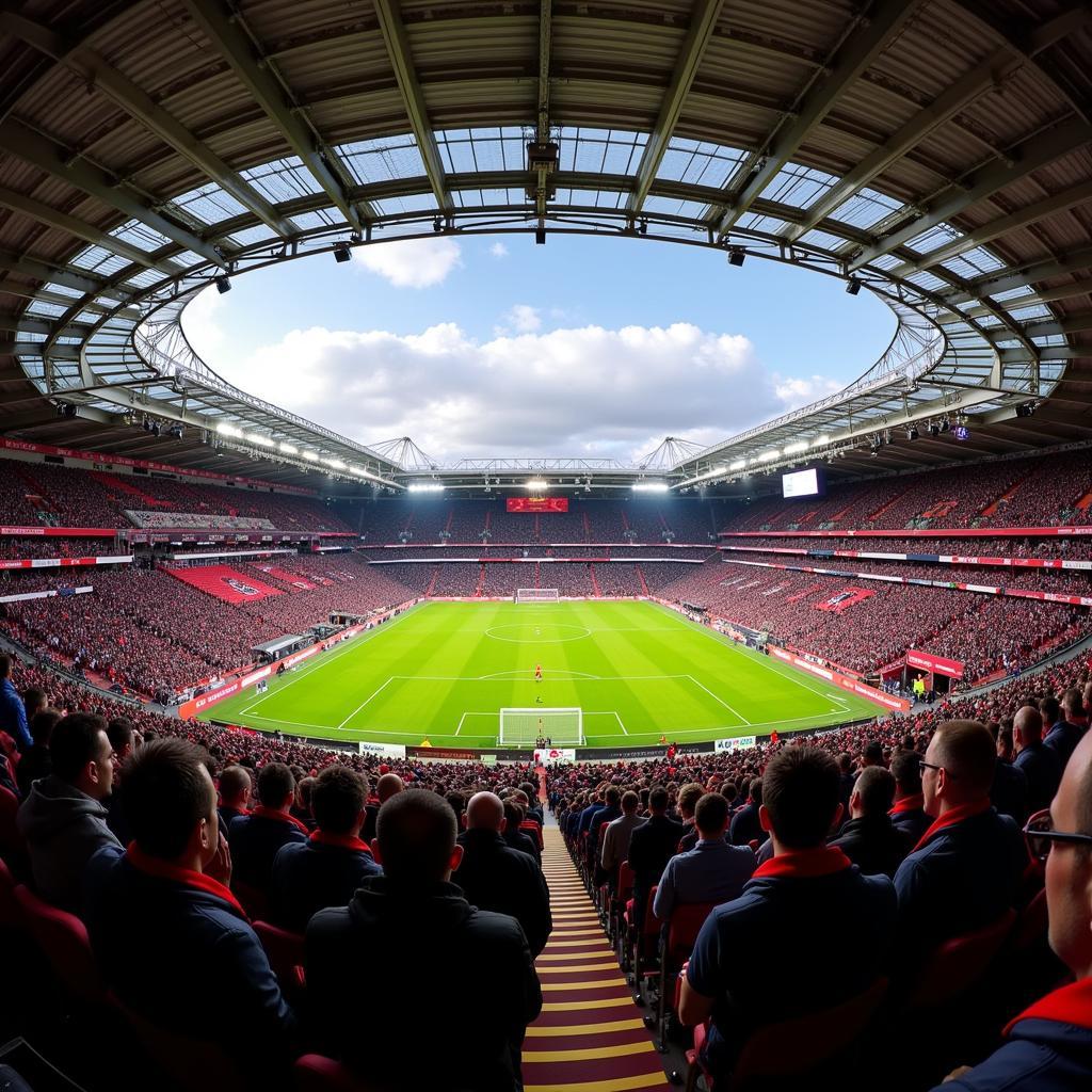 Fans von Bayer Leverkusen feuern ihr Team in der BayArena an