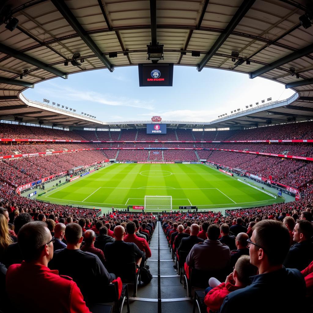 Bayer Leverkusen Fans Stadion