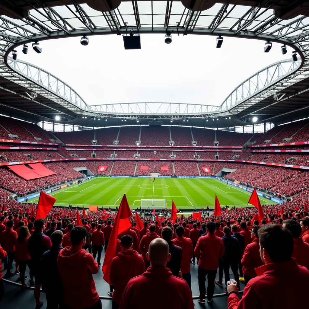 Bayer Leverkusen Fans im Stadion