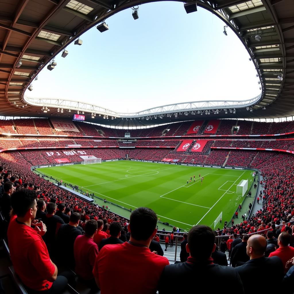 Fans von Bayer Leverkusen im Stadion