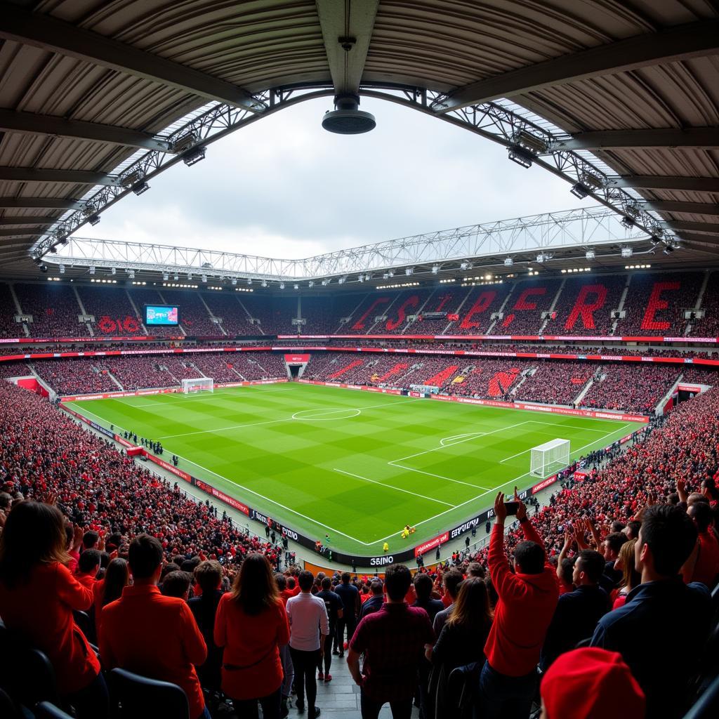 Leverkusen Fans im Stadion