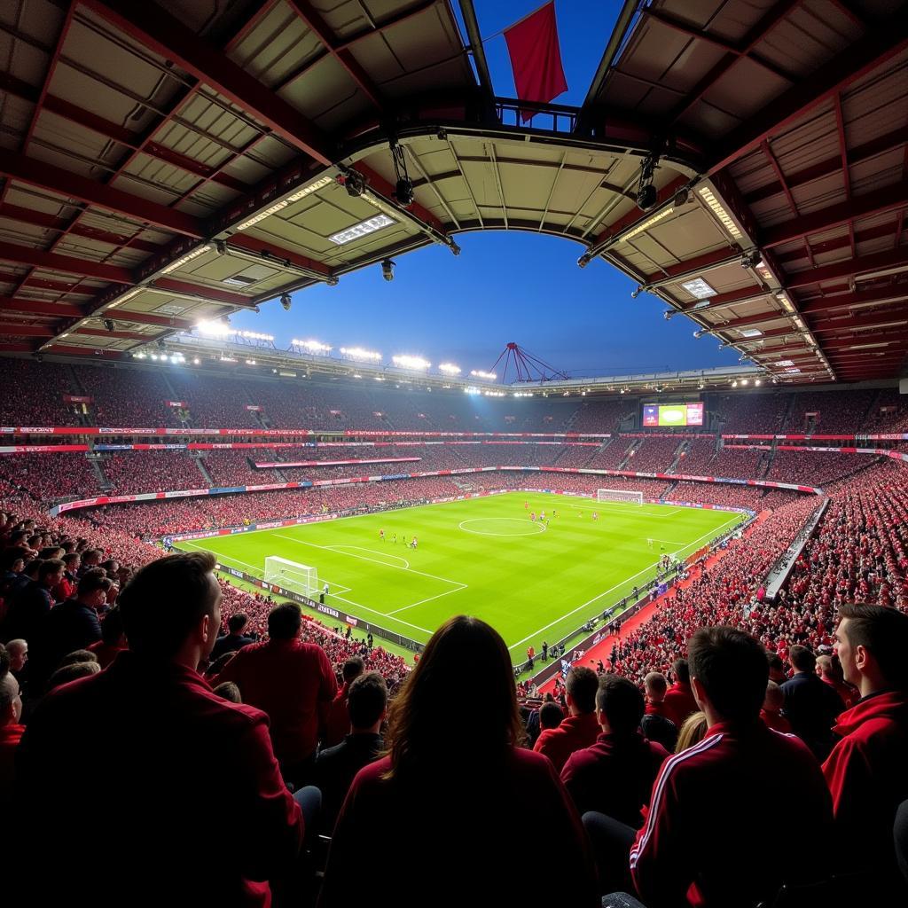 Bayer Leverkusen Fans im Stadion