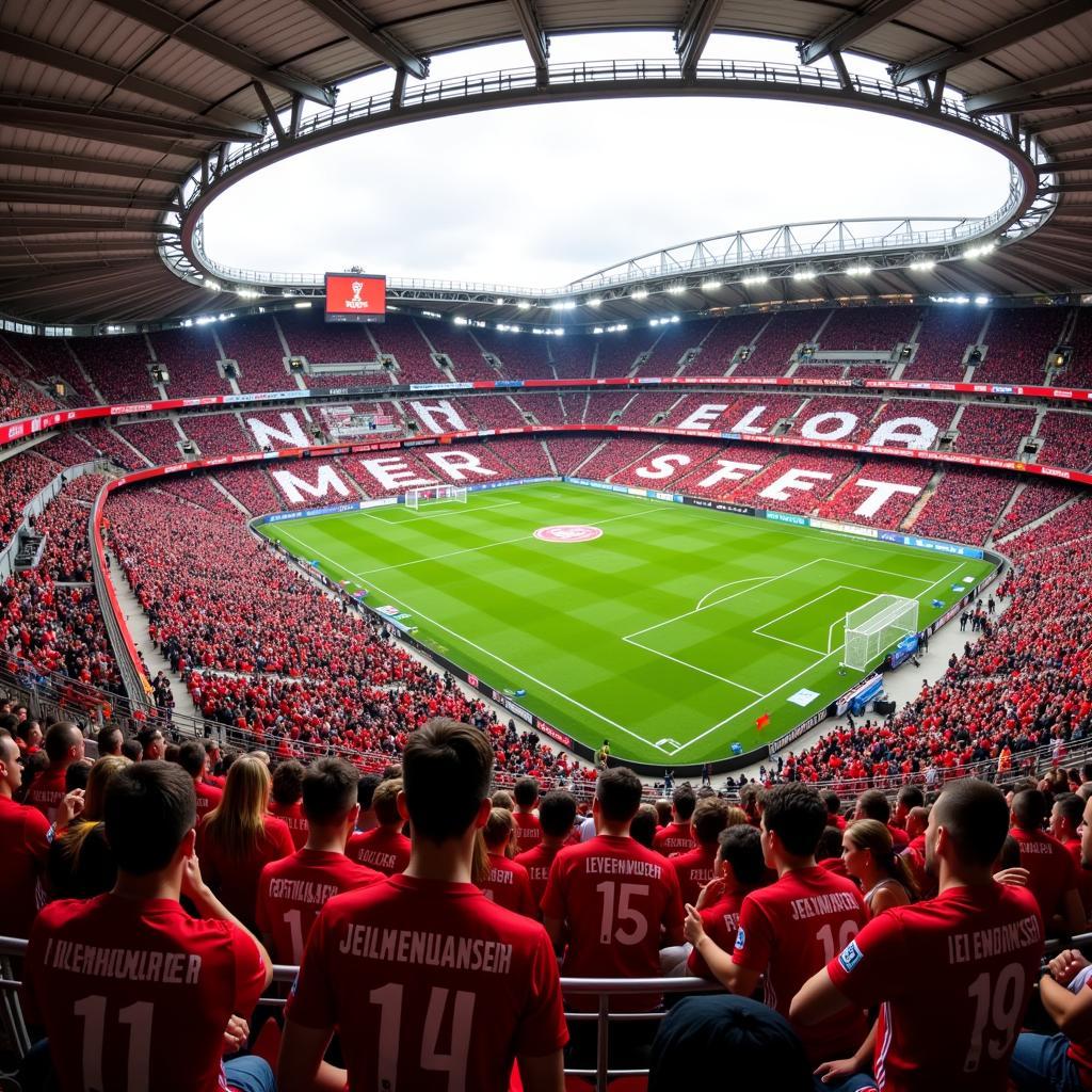 Bayer Leverkusen Fans Trikots