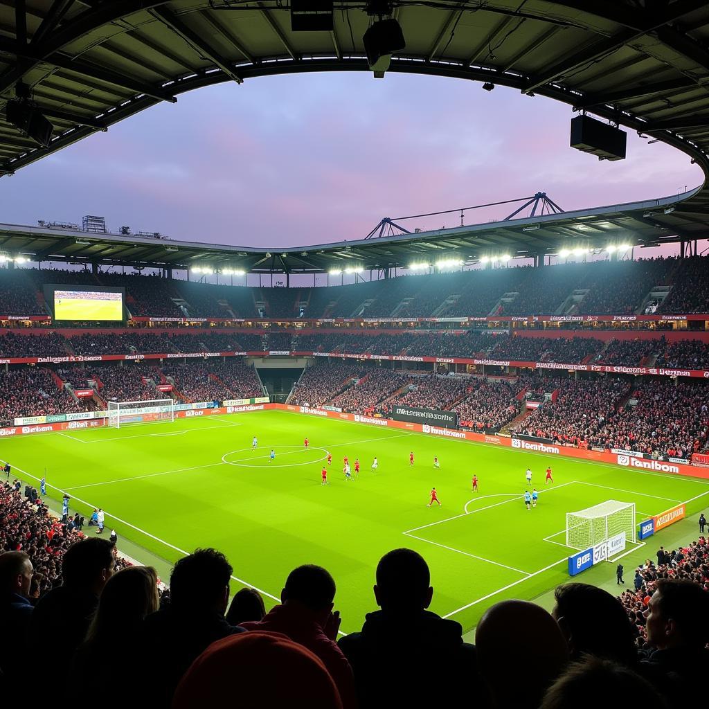 Bayer Leverkusen vs. SC Paderborn Bundesliga