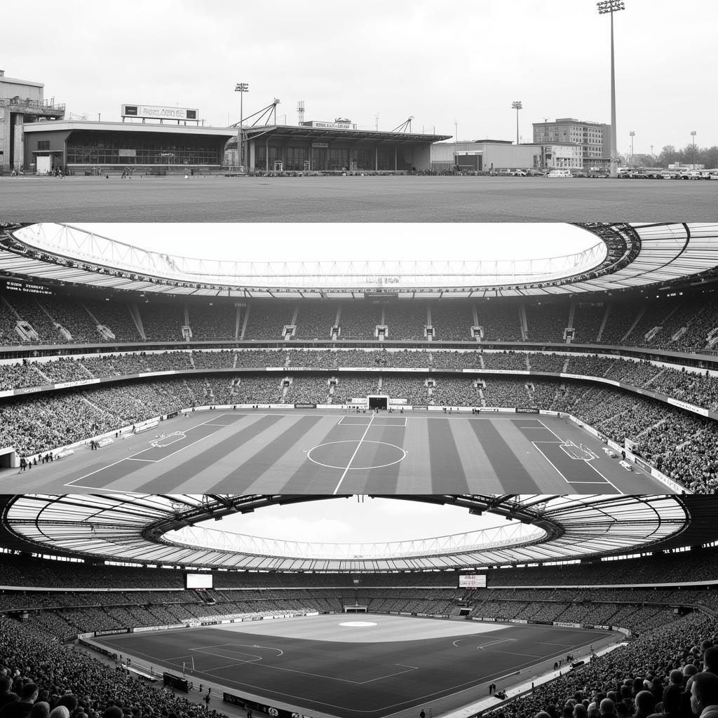 Die Entwicklung des Bayer Leverkusen Stadions im Laufe der Geschichte