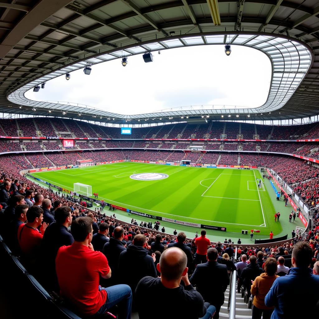 Fans von Bayer Leverkusen und dem VfL Bochum im Stadion