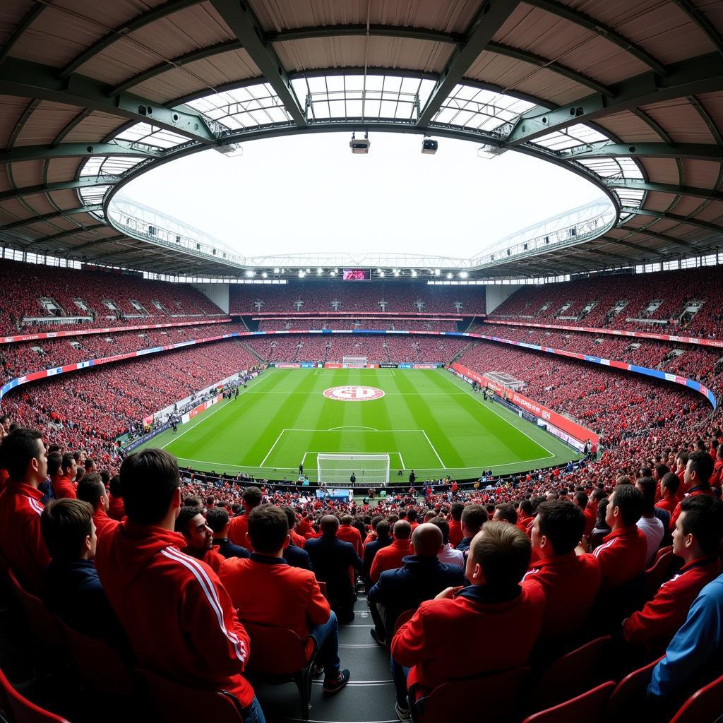 Fans beider Mannschaften im Stadion