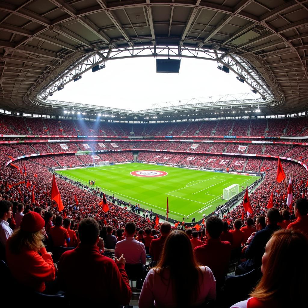 Bayern Leverkusen Fans im Stadion