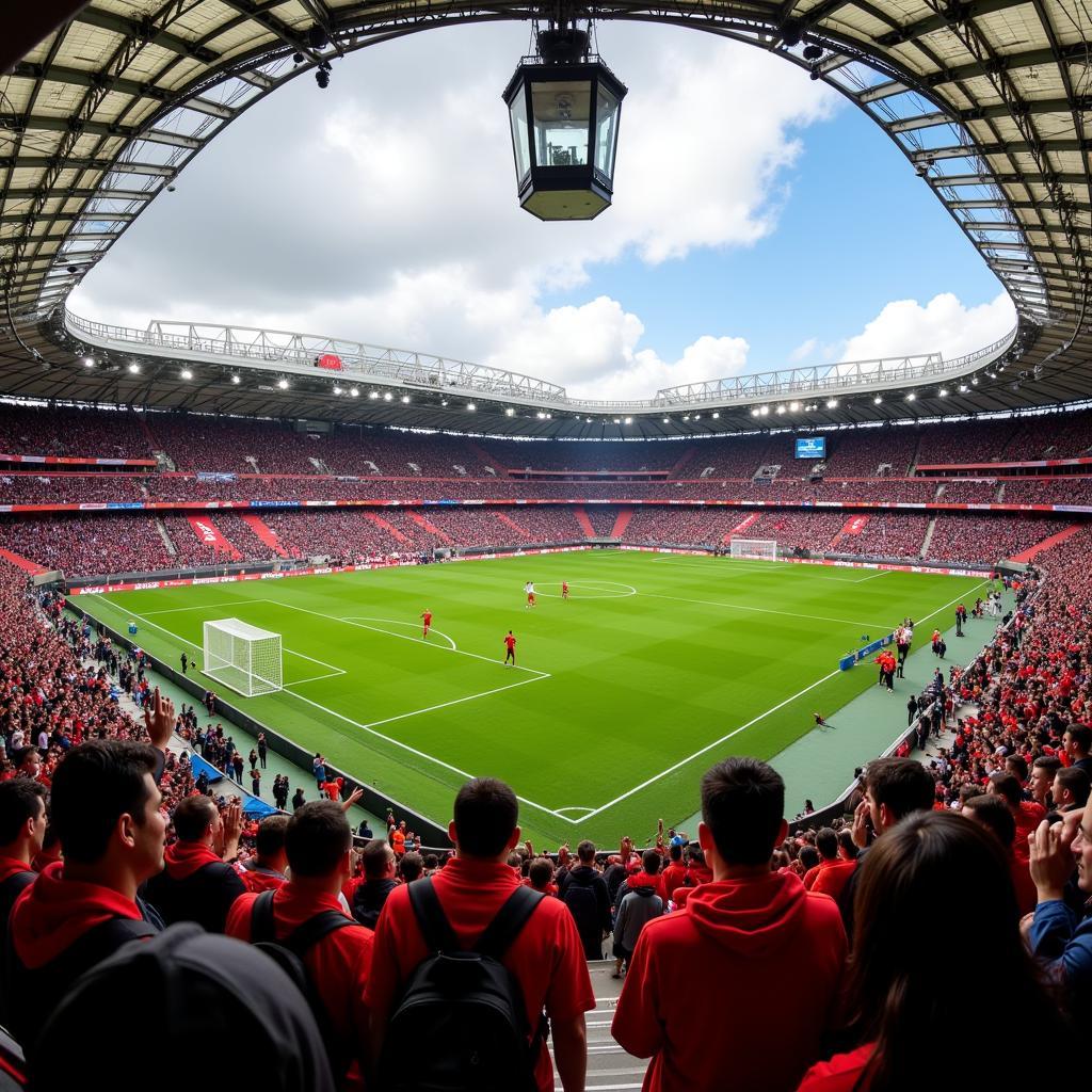 Die Werkself im Stadion