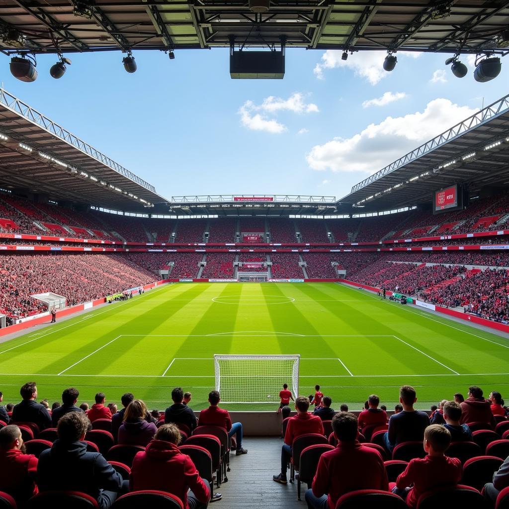 Euro Schule Leverkusen Stadion