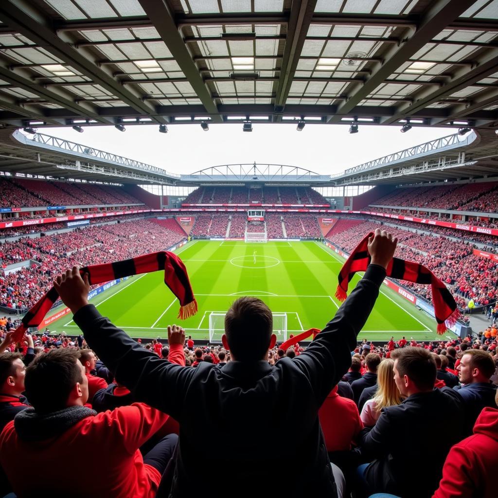 Jubelnde Fans in der BayArena