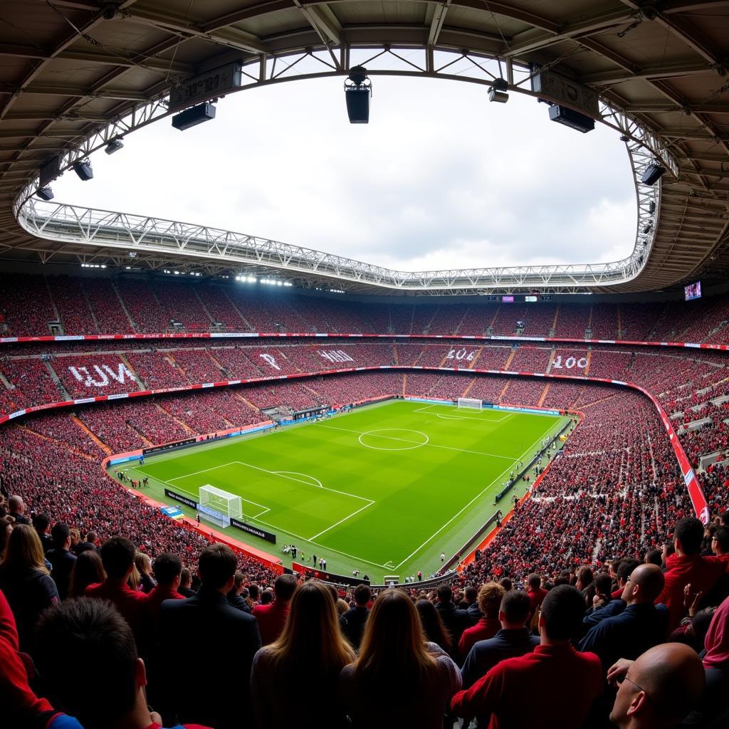 Fans von Bayer Leverkusen im Stadion