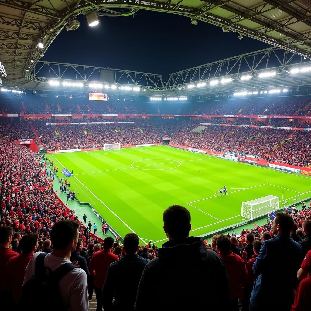 Fans von Bayer Leverkusen und Molde FK im Stadion