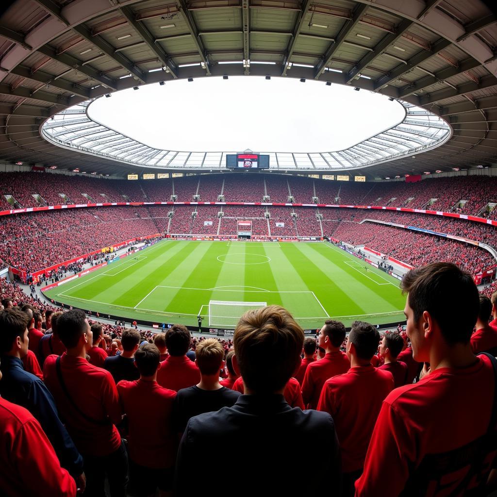 Fans von Bayer Leverkusen im Stadion