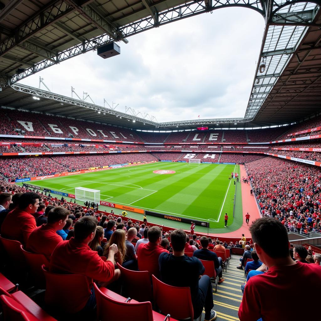 Fans im Ludwigsparkstadion