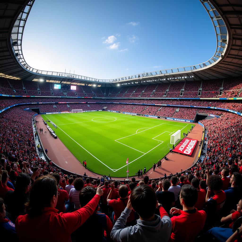 Fans von Atalanta und Leverkusen im Stadion