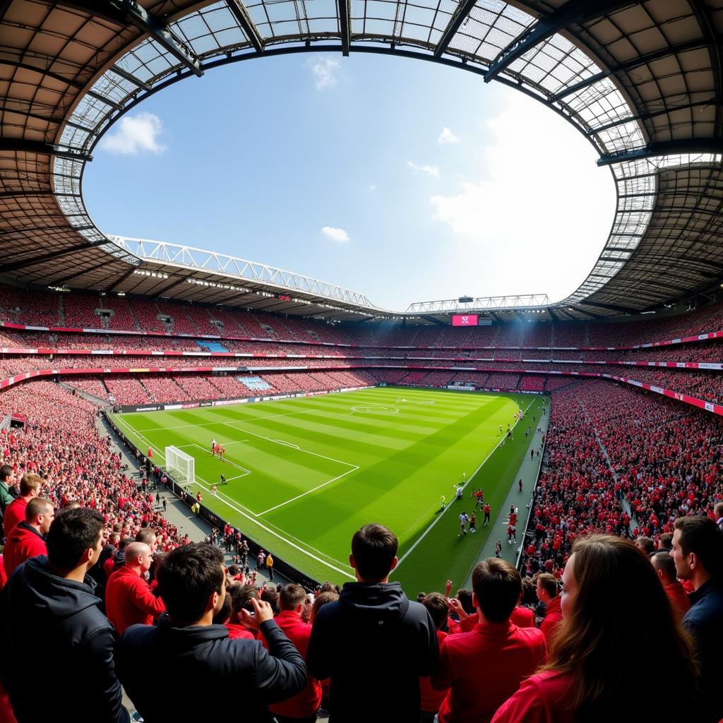 Fans im Stadion