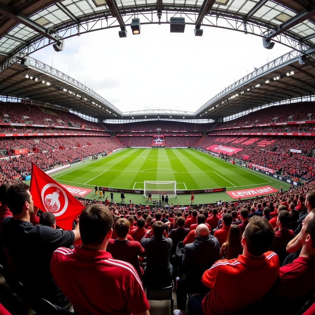 Fans im Stadion Leverkusen