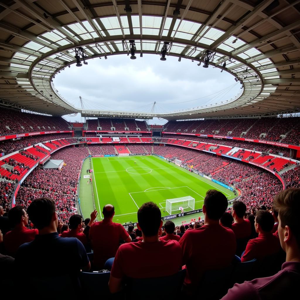 Fans in der BayArena