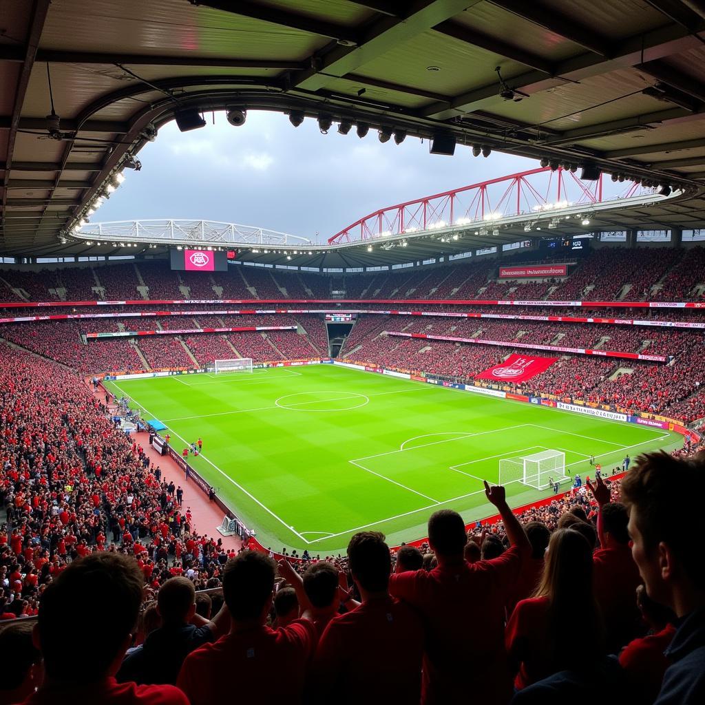 Fans feiern ein Tor in der BayArena