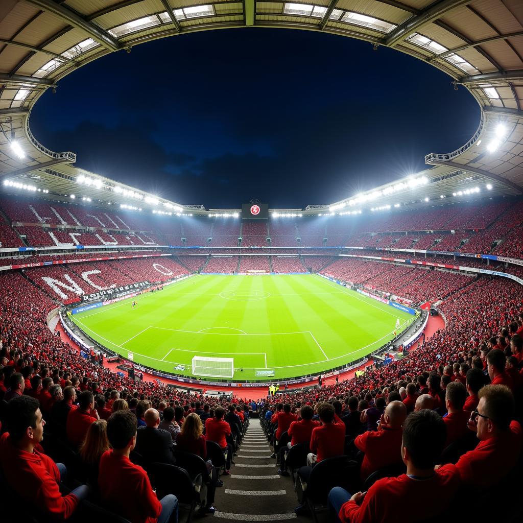 Fans Leverkusen Darmstadt Stadion