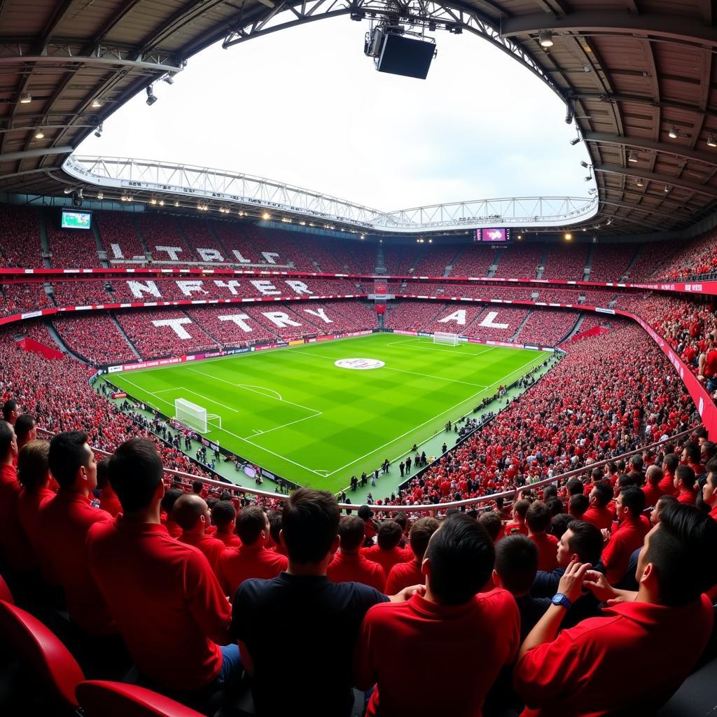 Fans von Bayer Leverkusen im Stadion