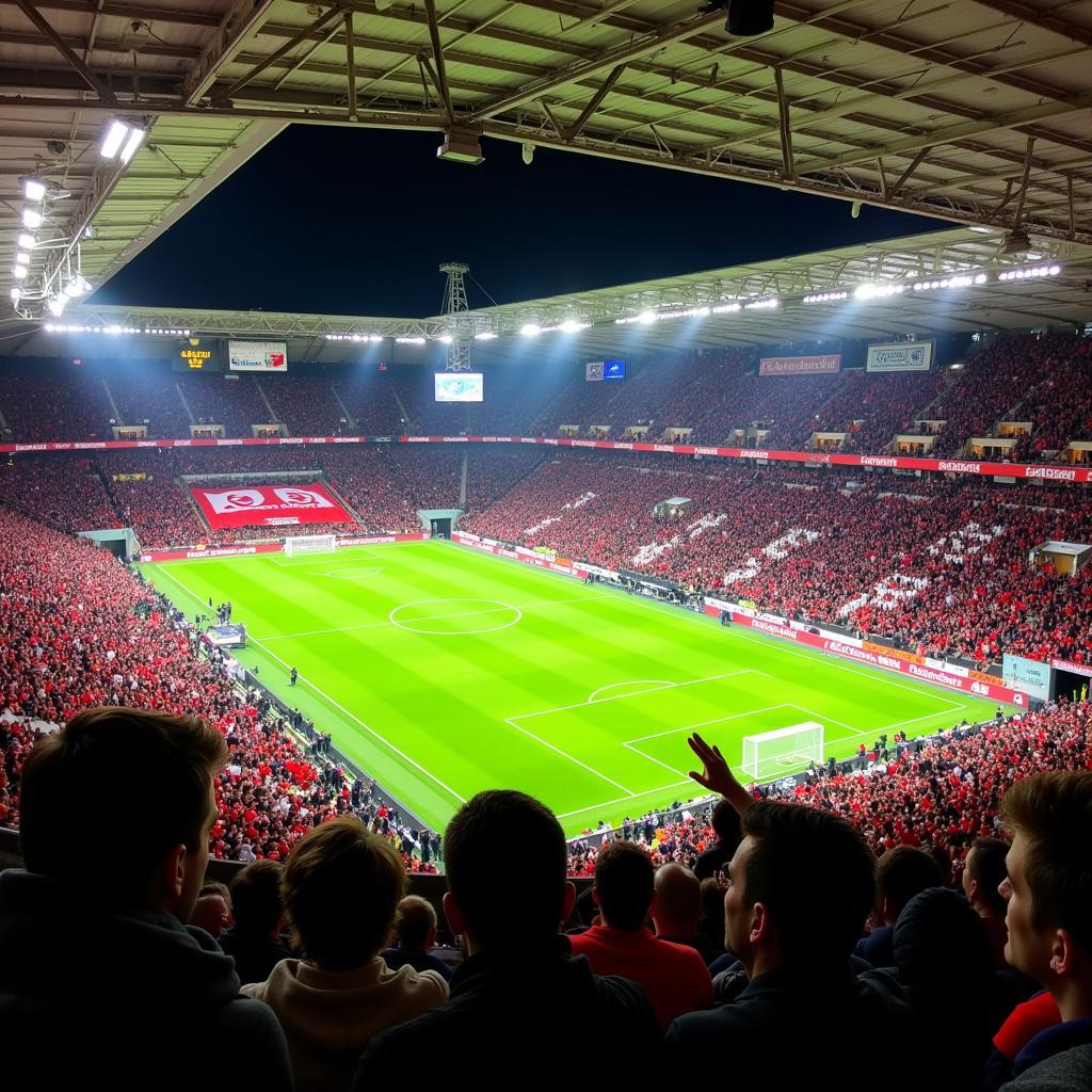 Fans im Stadion Bayer Leverkusen 1. FC Köln