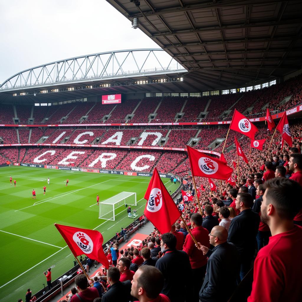 Fans von Bayer Leverkusen im Stadion