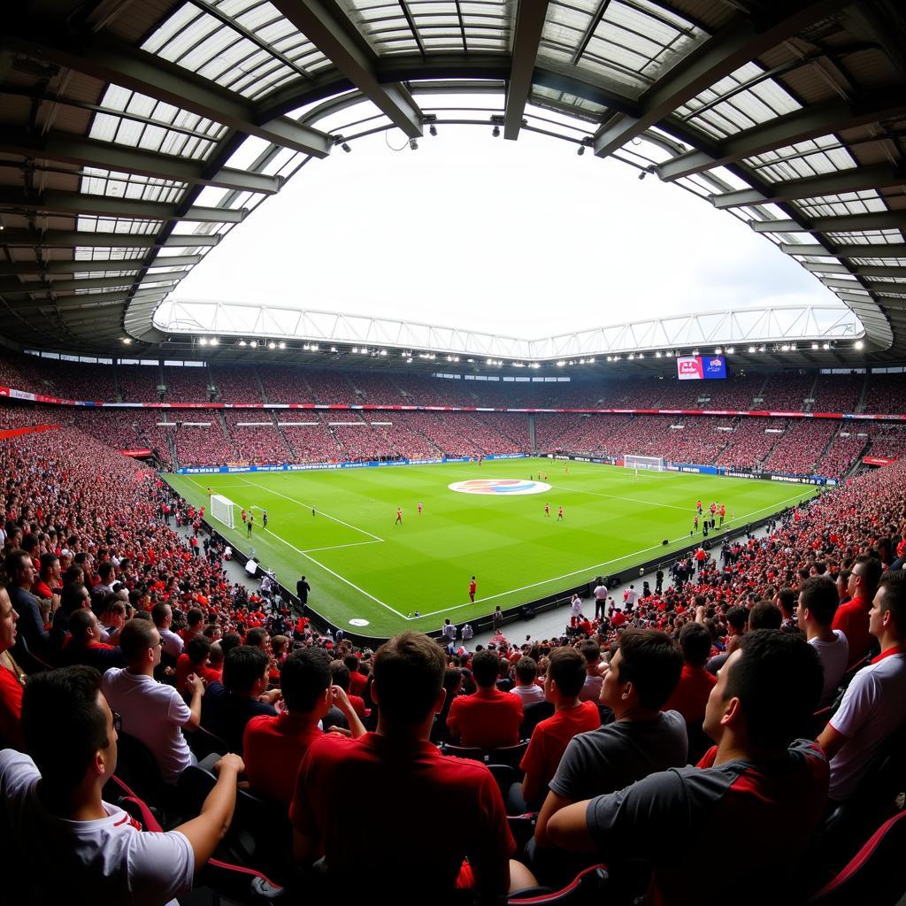 Fans von Stuttgart und Leverkusen im Stadion