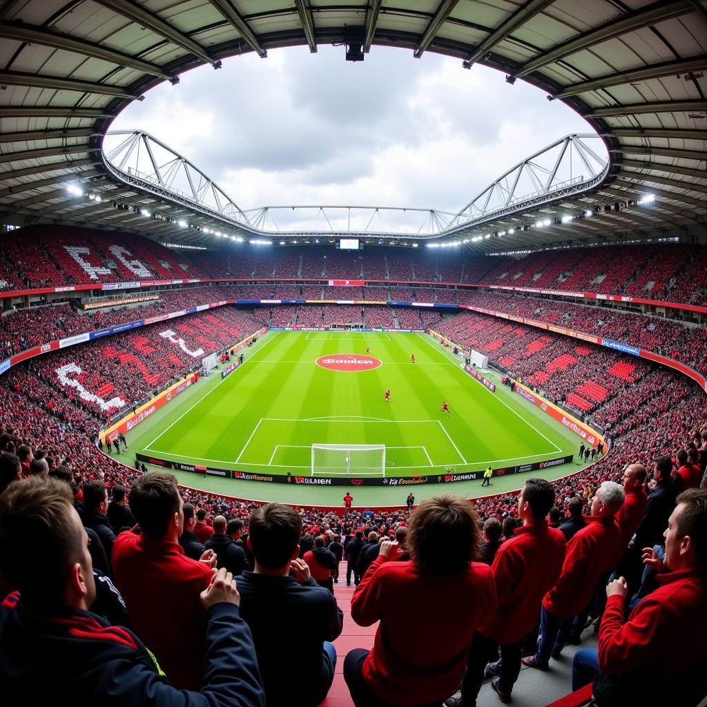 Fußballfans in der BayArena feiern ein Tor von Bayer Leverkusen