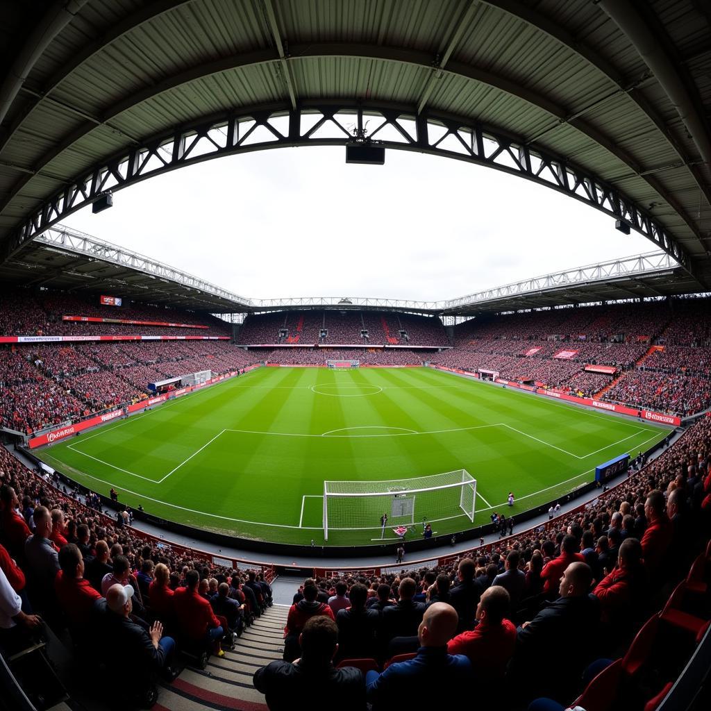 Innenansicht Stadion Bayer Leverkusen