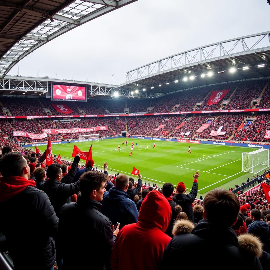 Kältegang Fanclub im Stadion