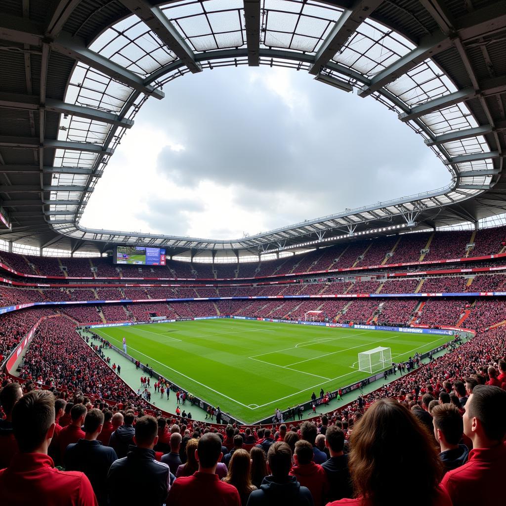 Leverkusen Augsburg Stadion