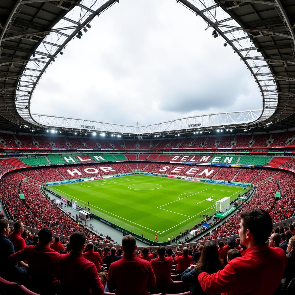 Fans verfolgen das Spiel Leverkusen gegen Bremen live im Stadion