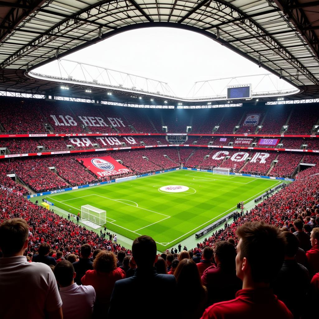 Fans von Bayer Leverkusen im Stadion