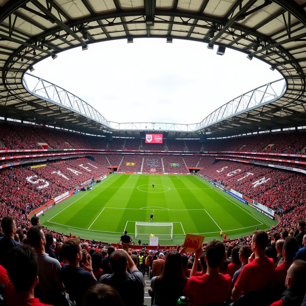 Fans von Bayer Leverkusen und Greuther Fürth