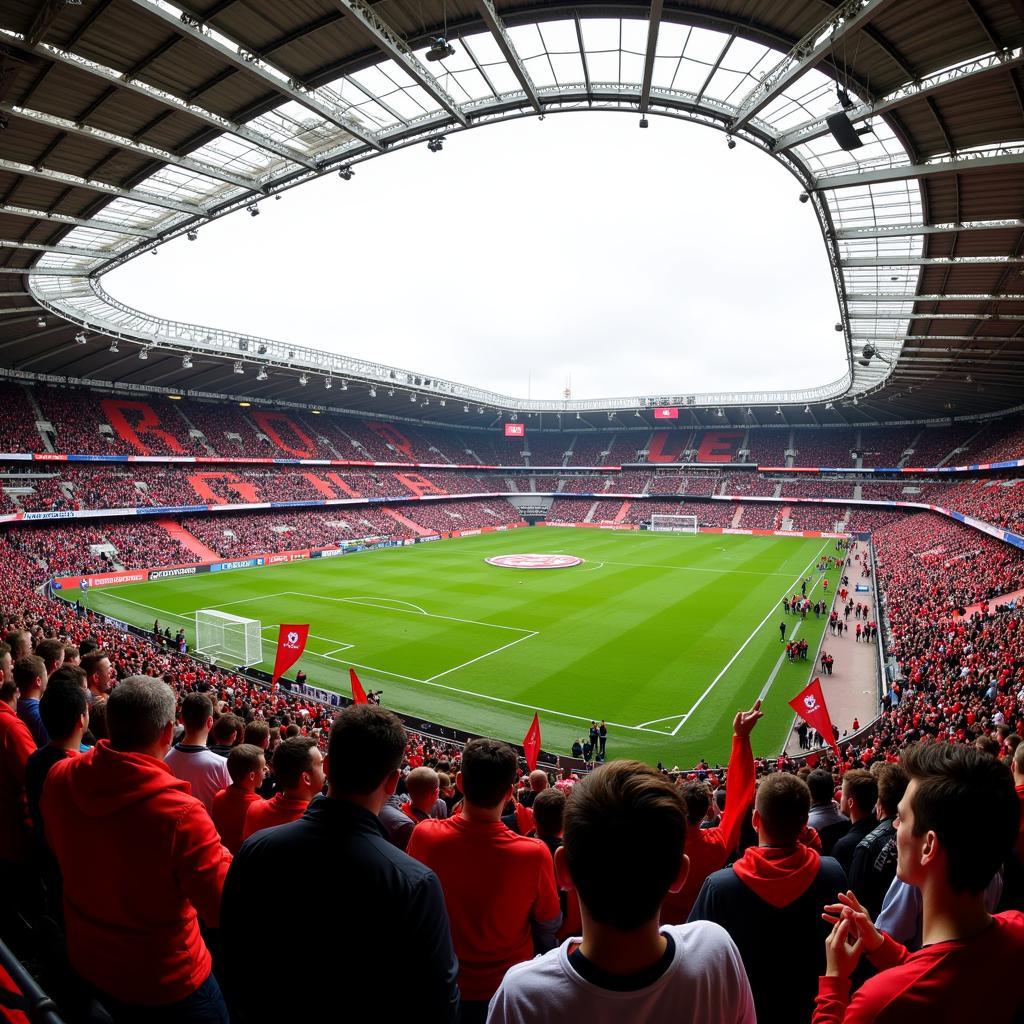 Fans von Leverkusen und Köln im Stadion